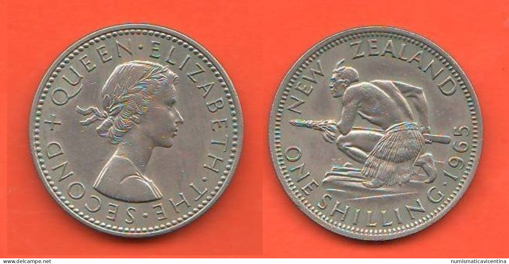 New Zealand Shilling 1965 Nuova Zelanda Scellino Nickel Coin Queen Elizabeth II° - Nieuw-Zeeland