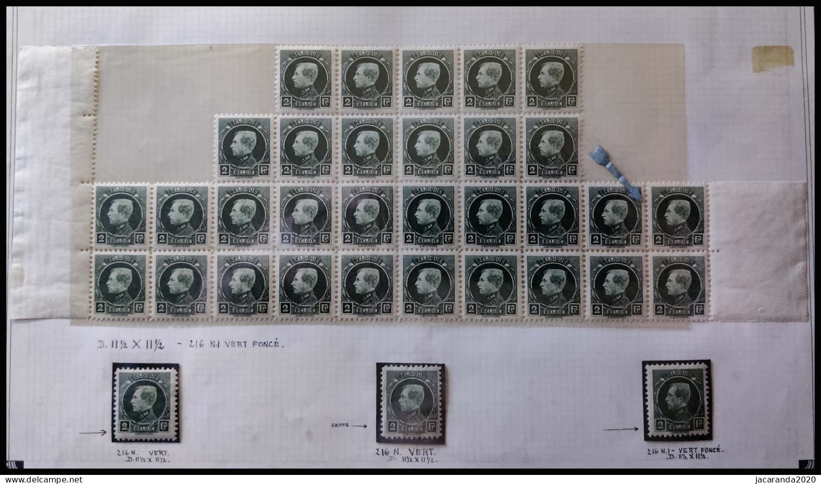 België 216 ** - Montenez - 2F Groen - Veldeel - 31 Zegels - 1921-1925 Small Montenez