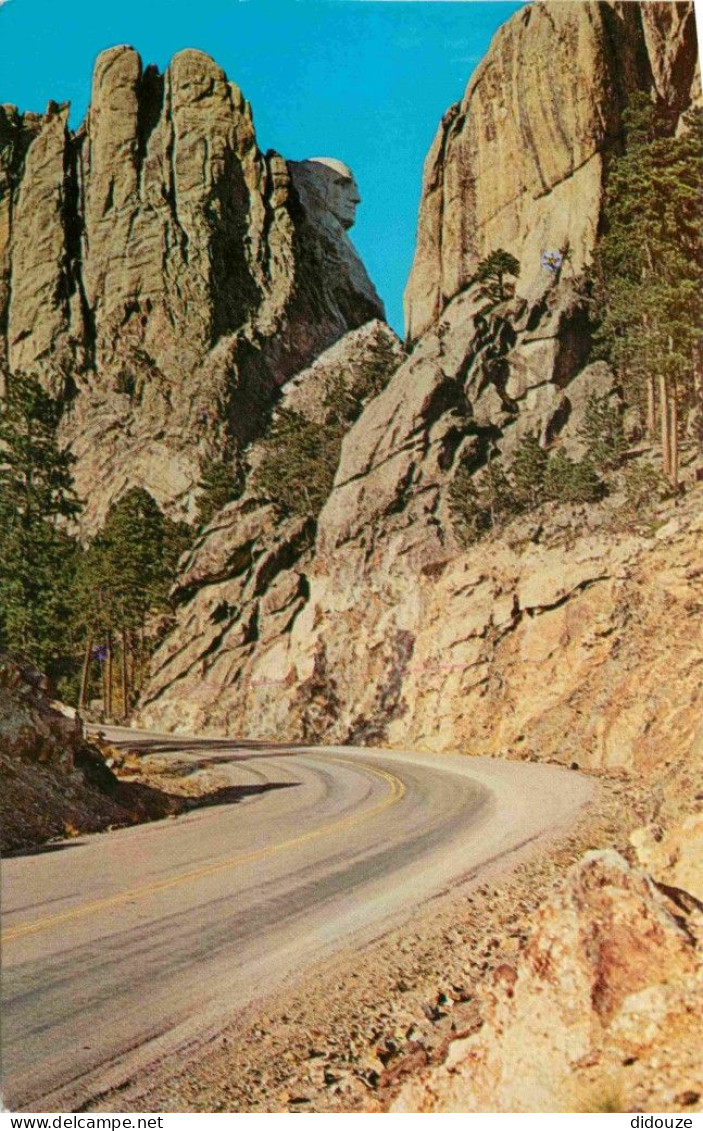 Etats Unis - Mount Rushmore - View Of George Washington From The Horsethief Lake Road In Mount Rushmore National Mémoria - Other & Unclassified