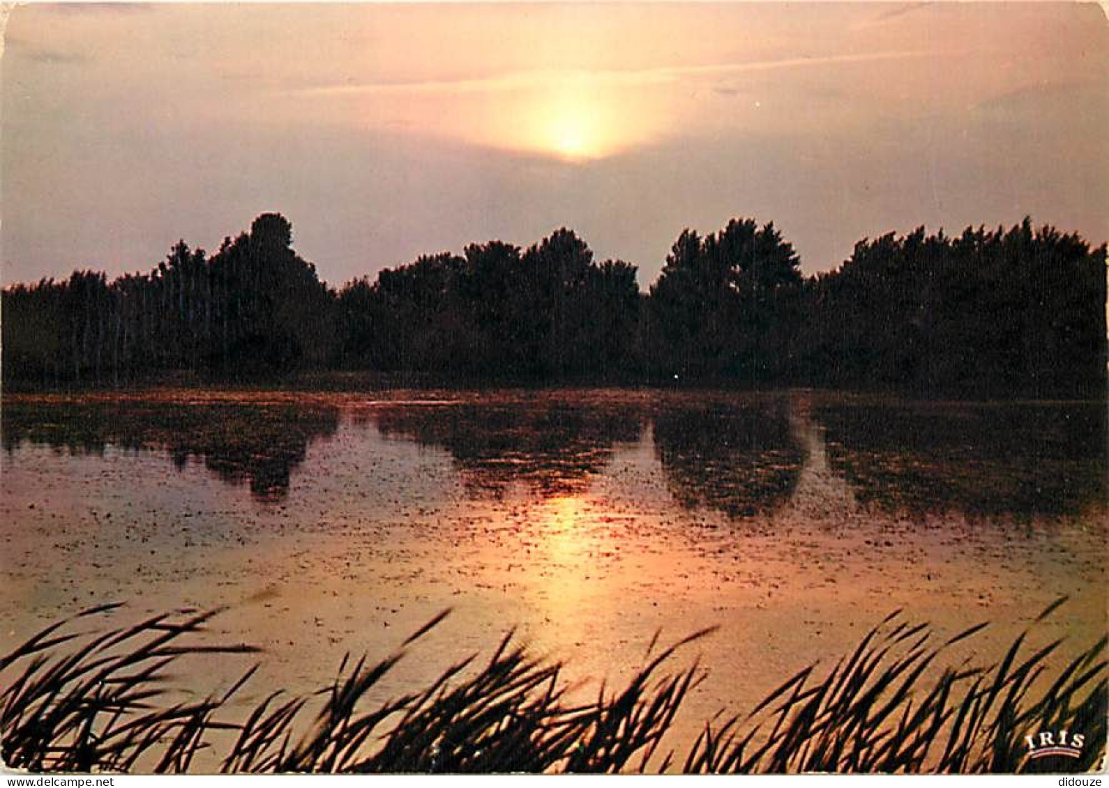 Coucher De Soleil - CPM - Voir Scans Recto-Verso - Contre La Lumière