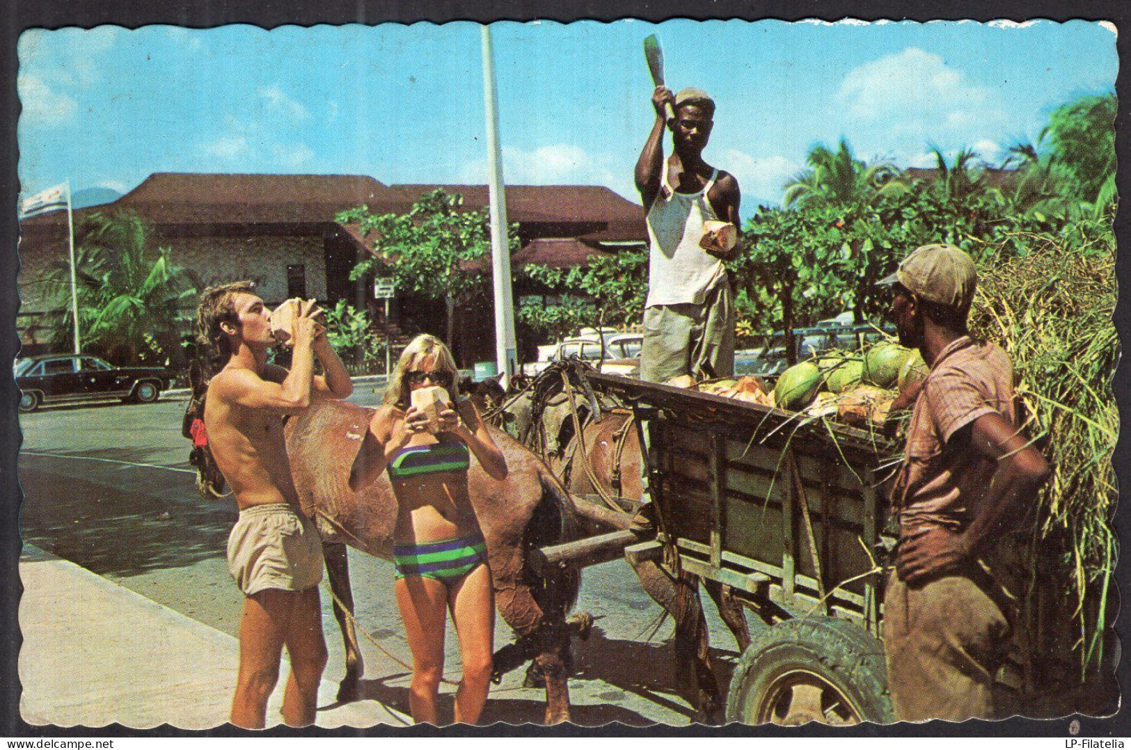 Jamaica - Circa 1970 - Couple - A Refreshing Drink Of Coconut Water - Jamaïque