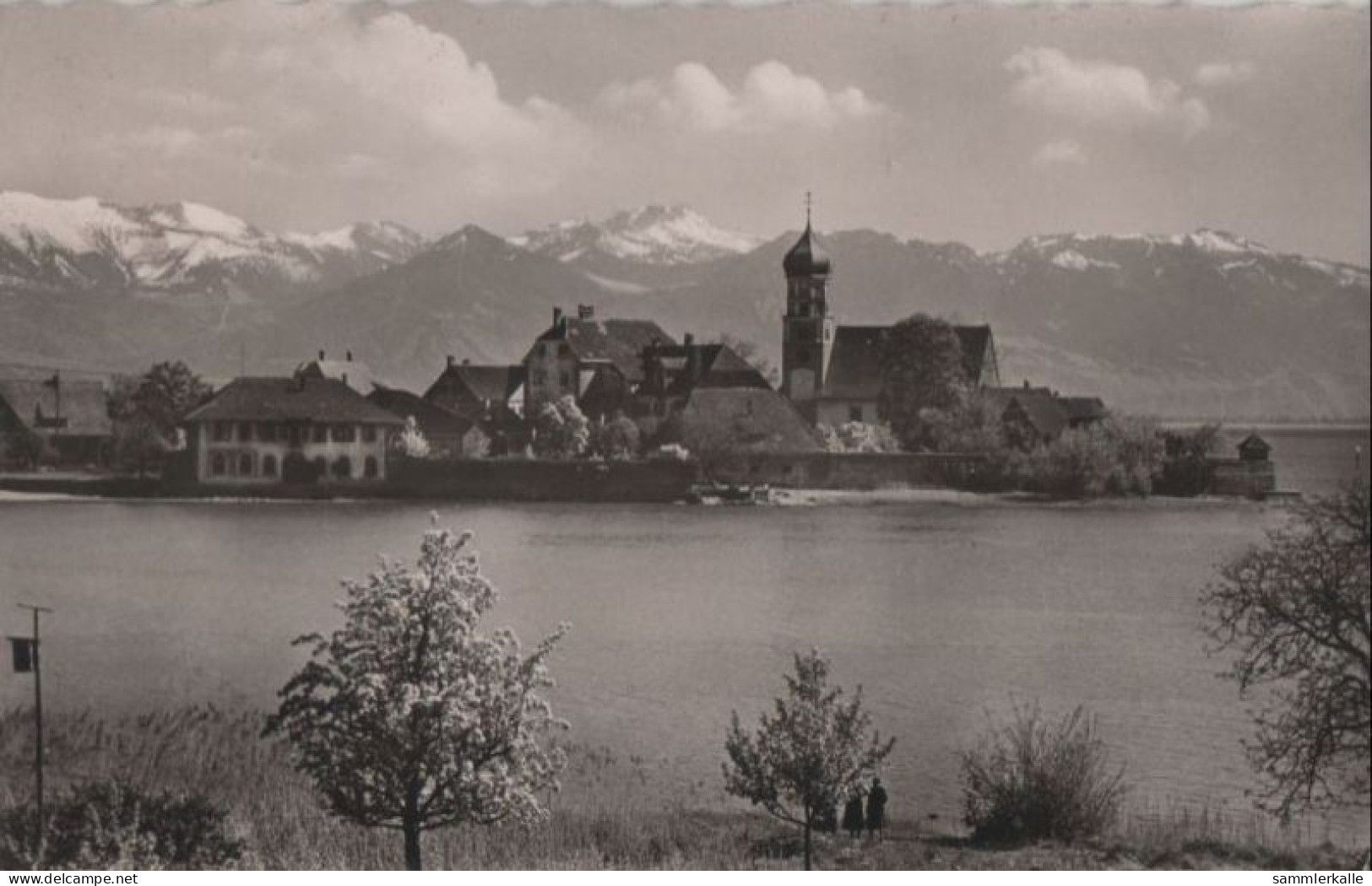 71444 - Wasserburg - 1955 - Wasserburg (Bodensee)