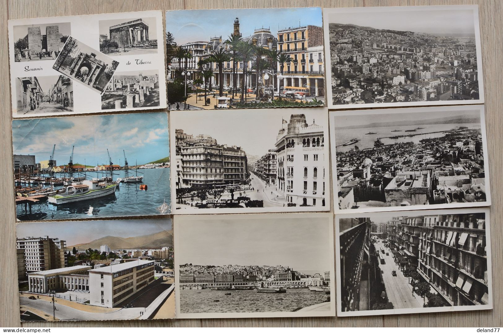 ALGERIE - LOT De 38 Cartes Postales Divers - Collections & Lots