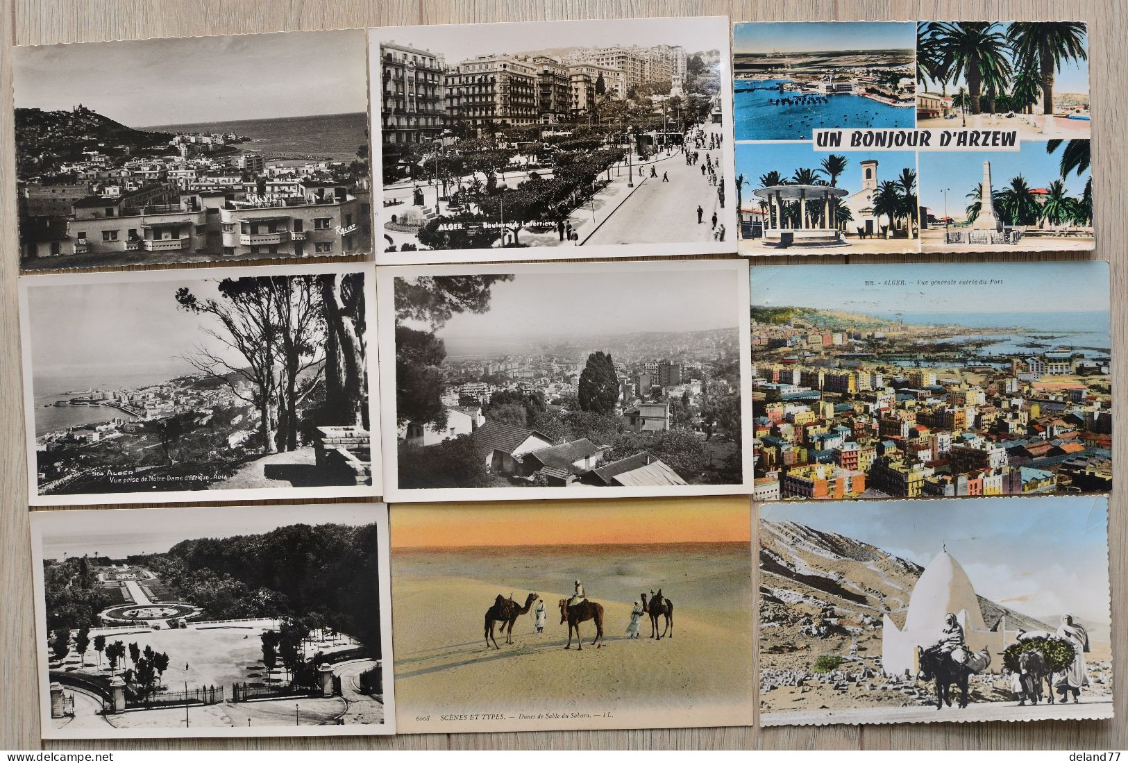 ALGERIE - LOT De 38 Cartes Postales Divers - Verzamelingen & Kavels