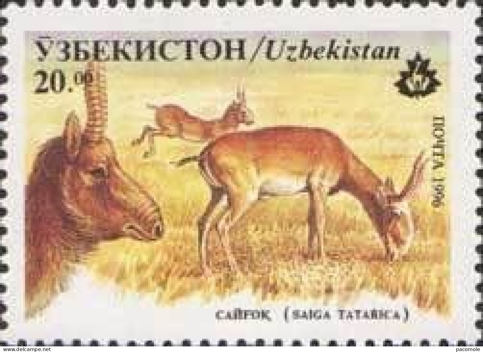 Ouzbékistan - Faune Antilope Saïga - Usbekistan