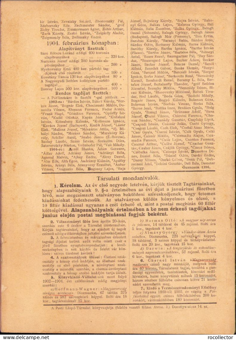 Természettudományi Közlöny, 416/1904 C1209 - Libri Vecchi E Da Collezione