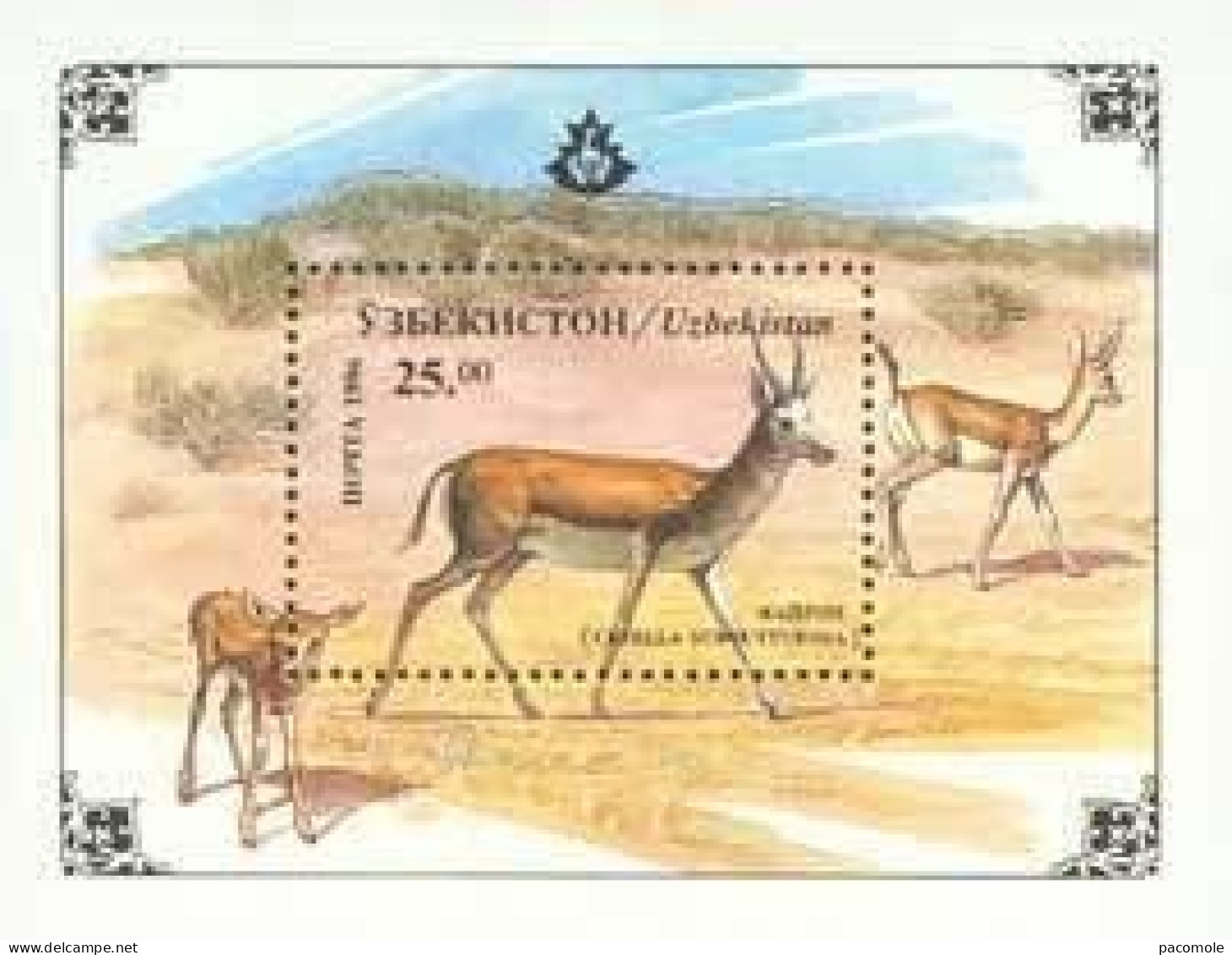 Ouzbékistan - Faune  - Gazelle - Ouzbékistan