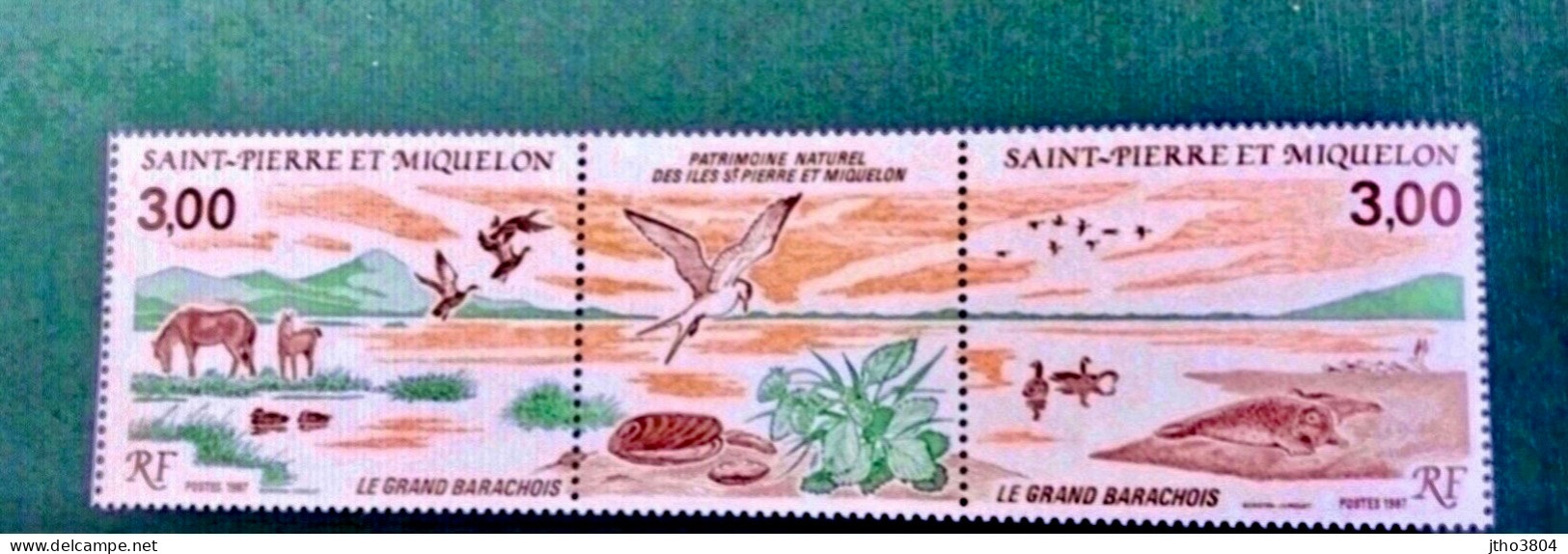 SAINT PIERRE ET MIQUELON SPM 1987 1 V Neuf MNH ** YT 484 485 Triptyque Le Grand Barachois - Neufs