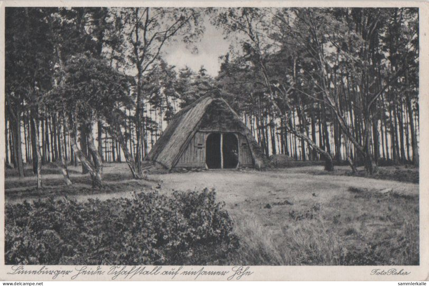30337 - Lüneburger Heide - Schafstall - Ca. 1940 - Lüneburger Heide