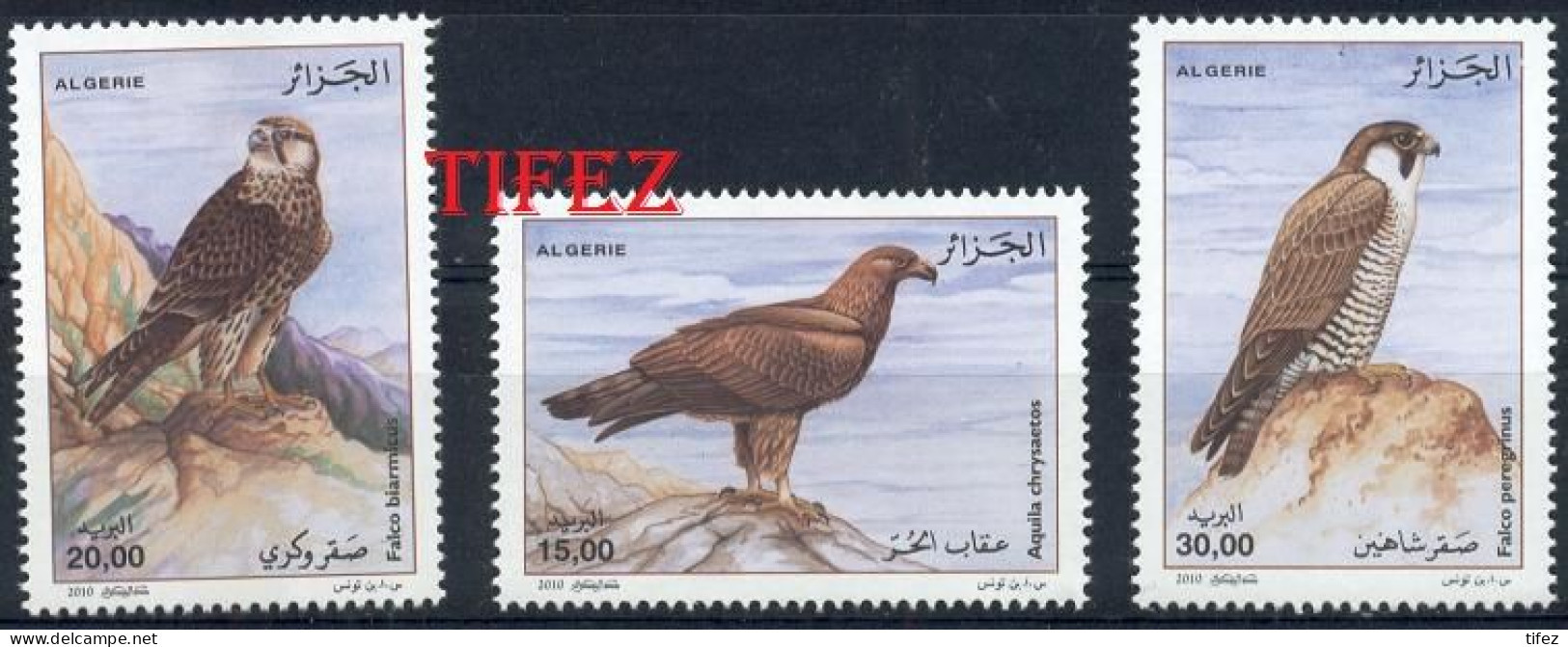 Année 2010-N°1555/1557 Neufs**MNH : Oiseaux Rapaces : Aigles - Algeria (1962-...)