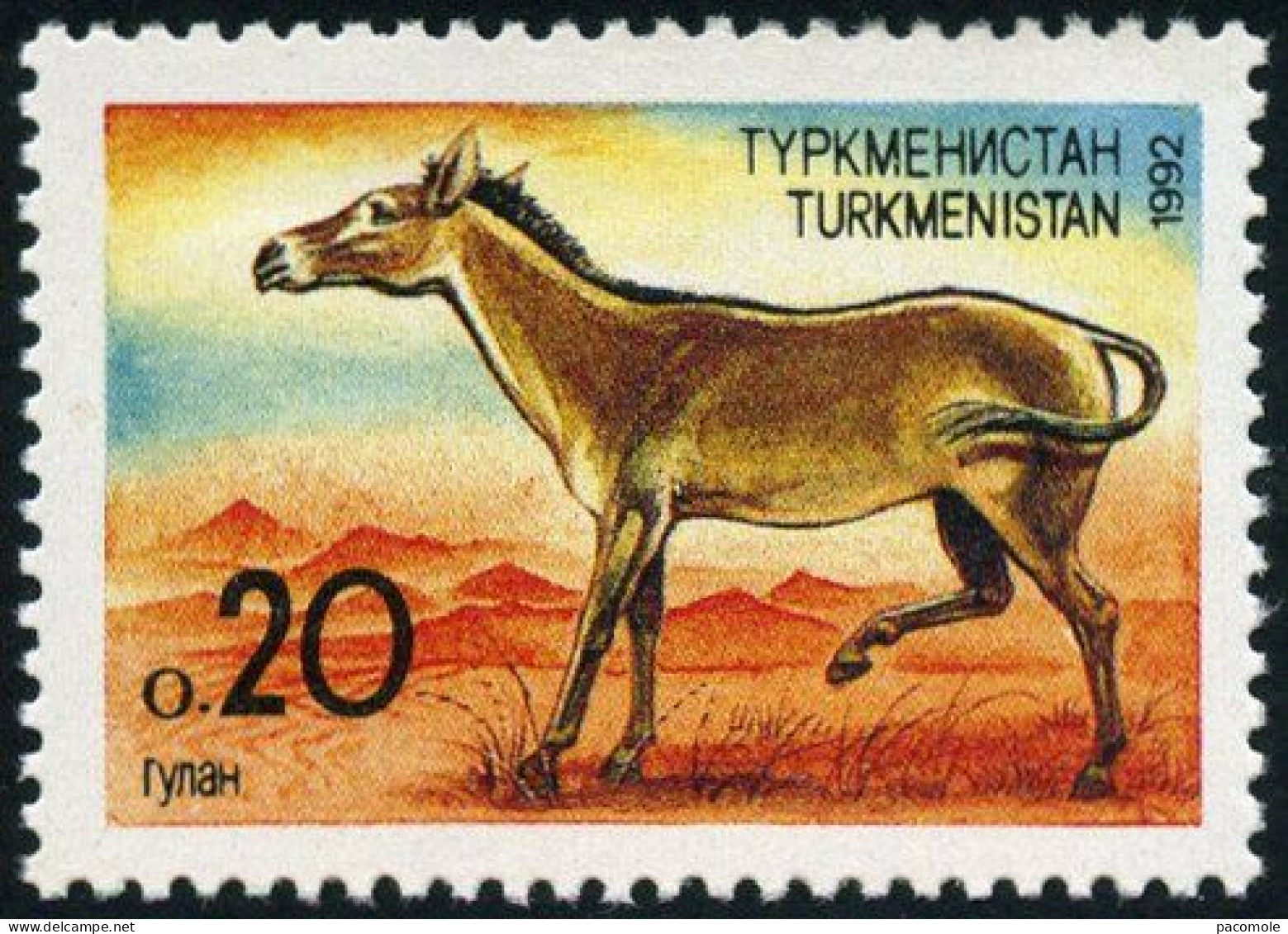 Turkménistan - Faune - Onagre - Turkmenistan