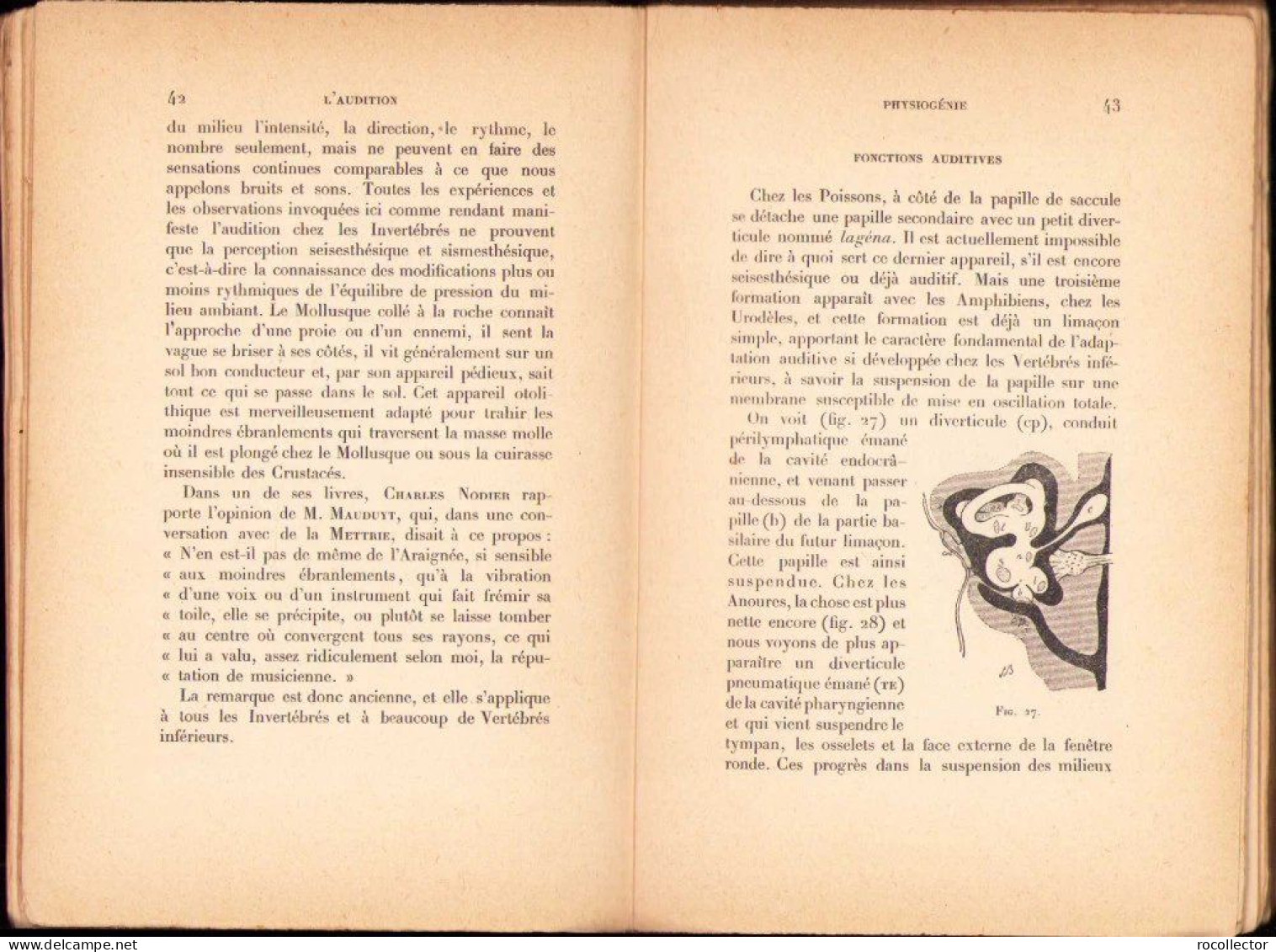 L’audition par Pierre Bonnier, 1901 C856