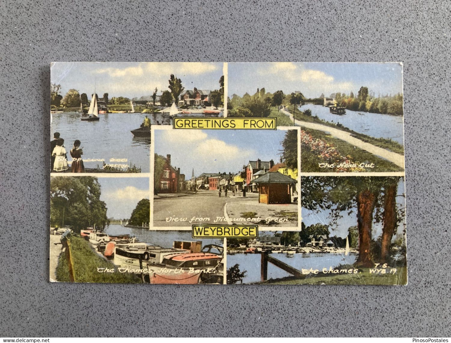 Greetings From Weybridge Carte Postale Postcard - Surrey