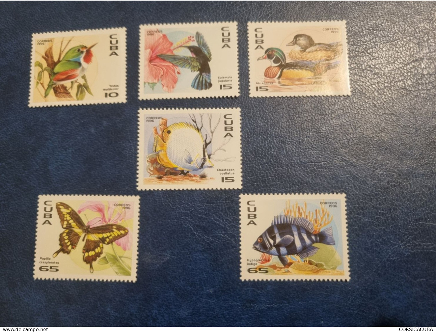 CUBA  NEUF  1996   FAUNA  DEL  CARIBE  //  PARFAIT  ETAT  //  1er  CHOIX  // - Nuovi