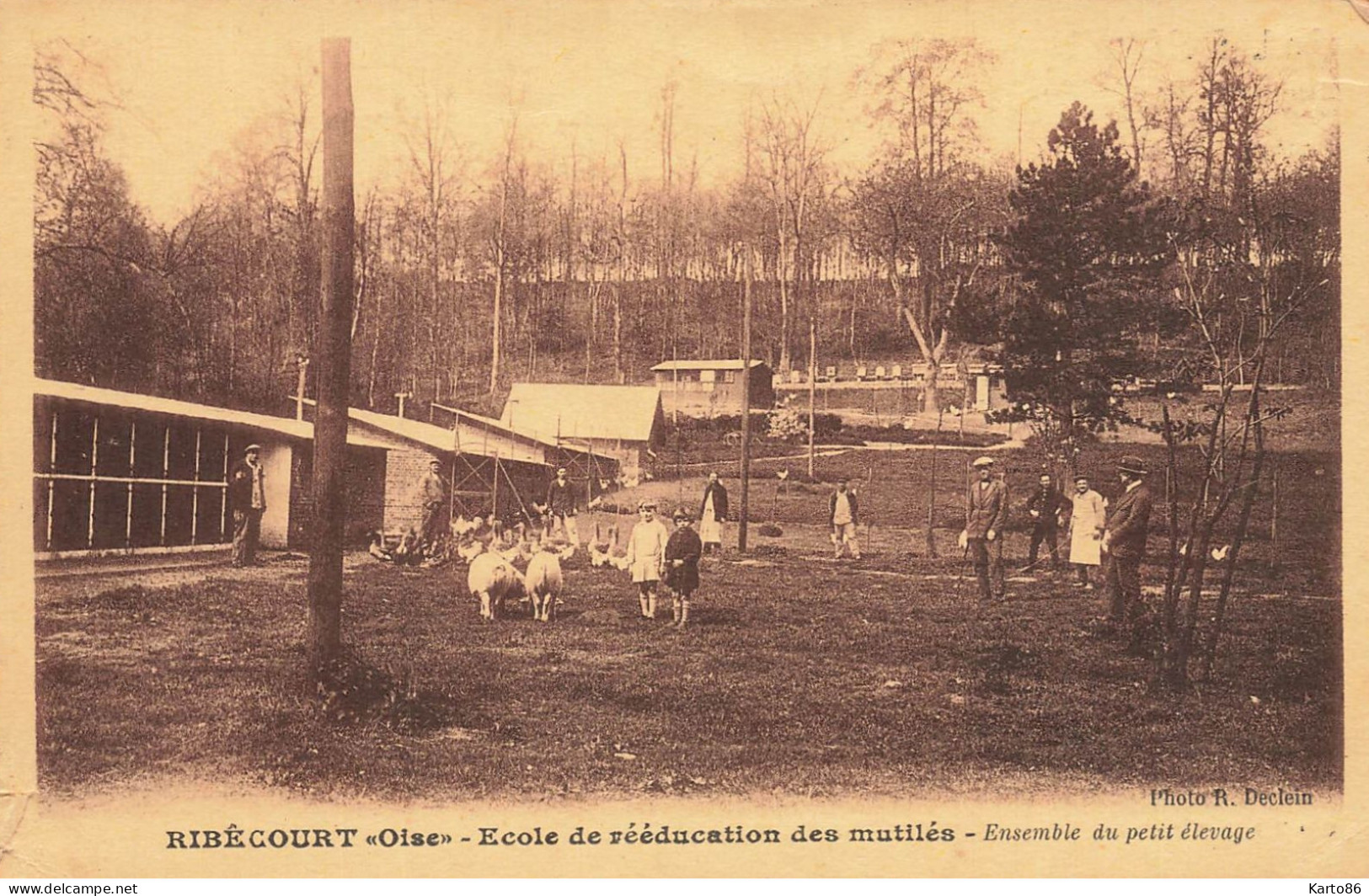 Ribécourt * école De Rééducation Des Mutilés , Ensemble Du Petit élevage * Pub Photographie Rodolphe DECLEIN - Ribecourt Dreslincourt