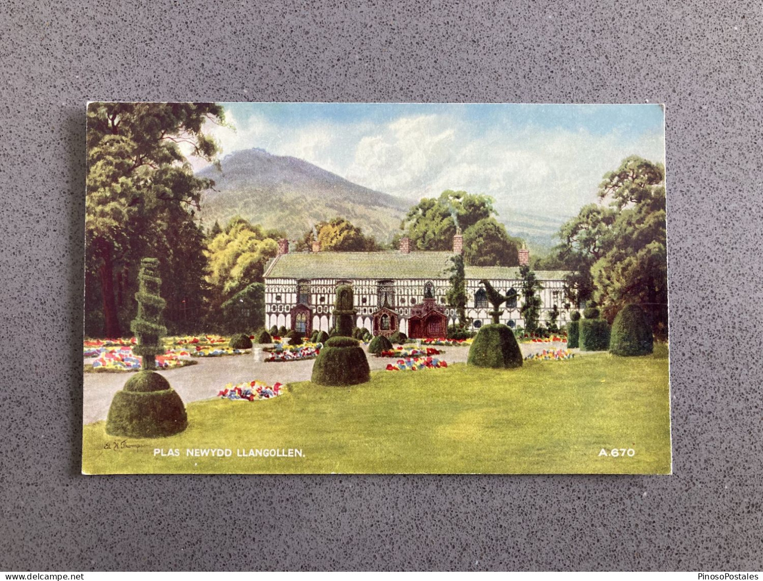 Plas Newydd Llangollen Carte Postale Postcard - Denbighshire