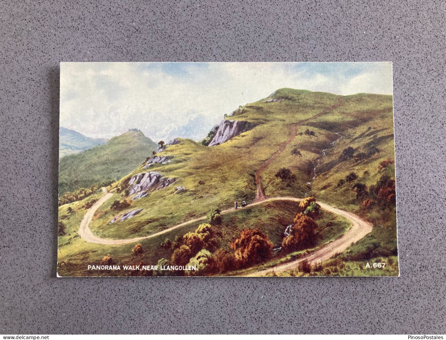 Panorama Walk Llangollen Carte Postale Postcard - Denbighshire