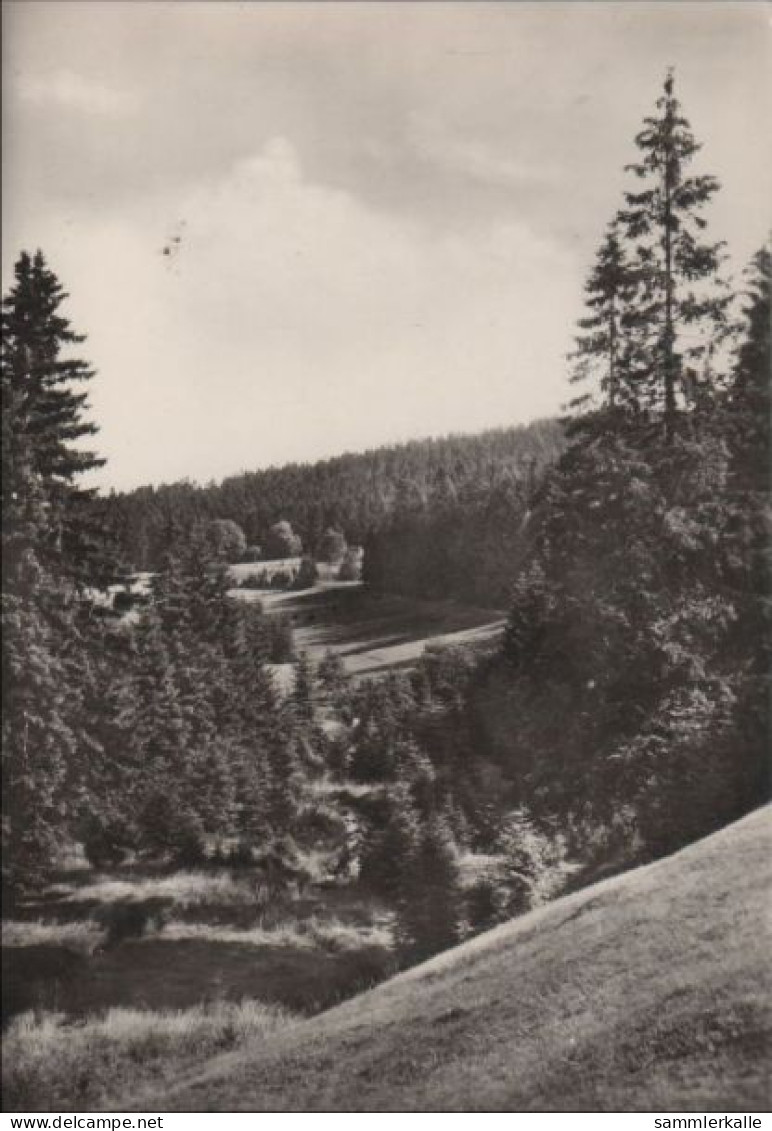 83384 - Johanngeorgenstadt - Im Steinbachtal - 1971 - Johanngeorgenstadt