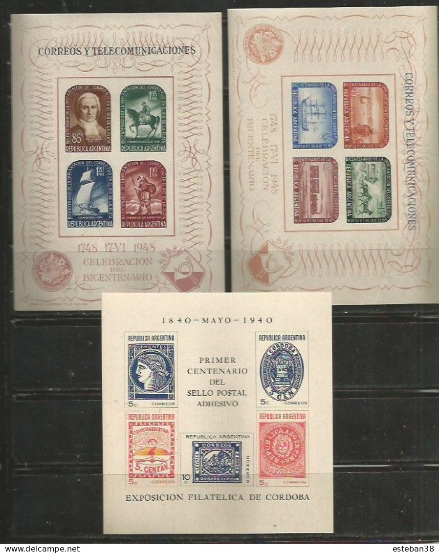 Coleccion De Blockes De Argentina - Hojas Bloque