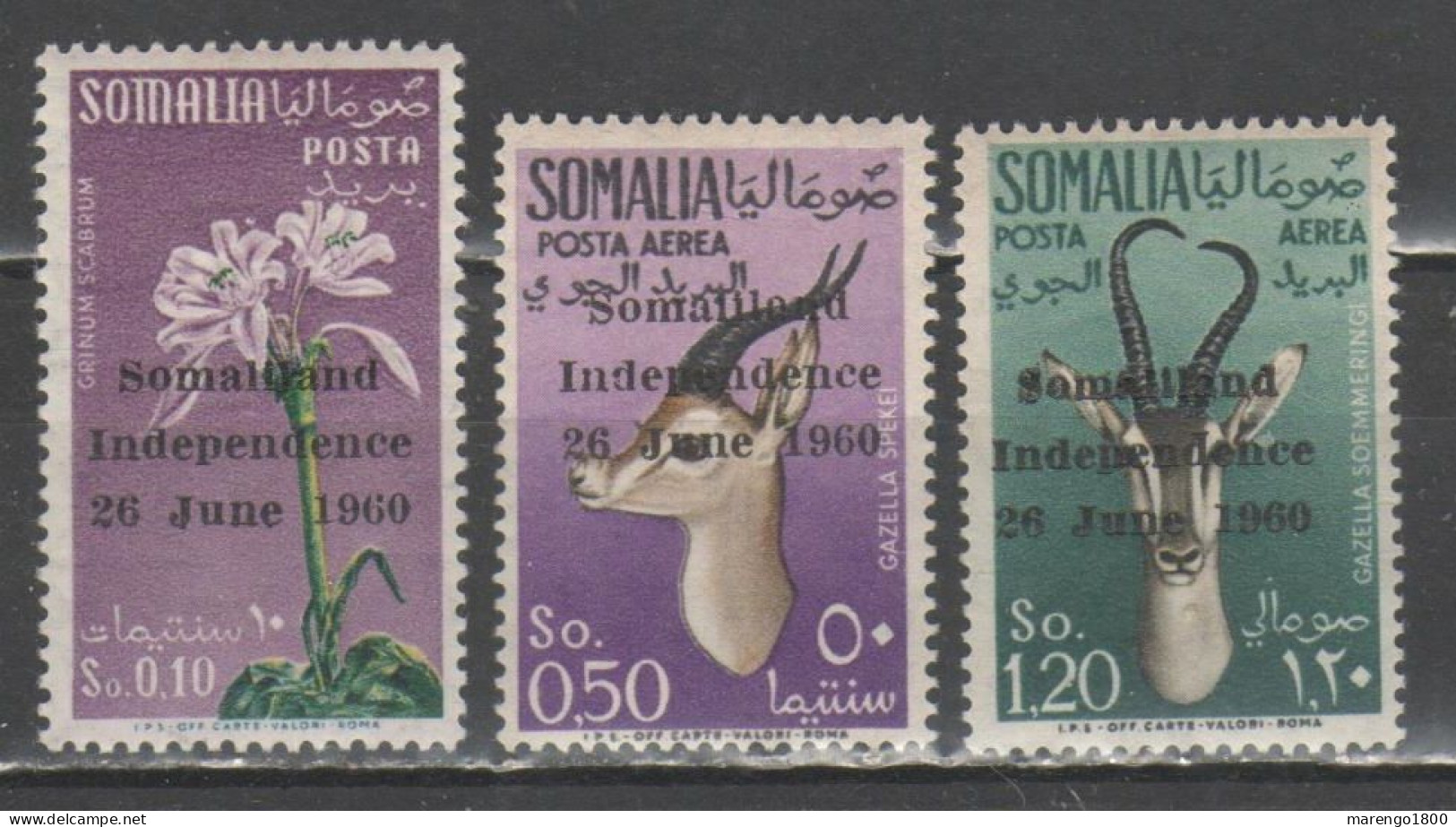 Somalia 1960 - Indipendenza - 2 Scan          (g9608) - Somalie (1960-...)