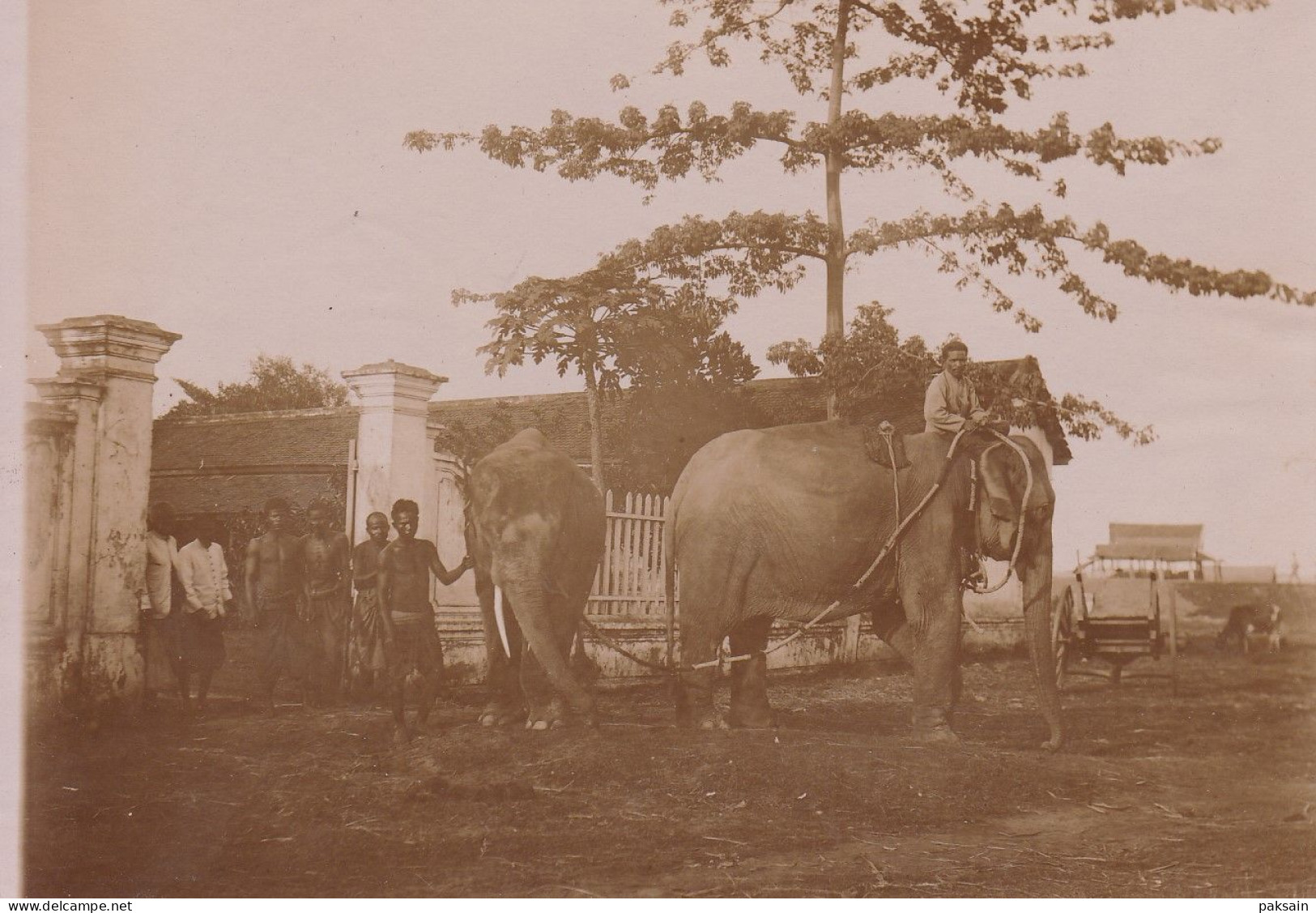 CAMBODGE Photo 1890 éléphant Du Roi En Laisse Phnom-Penh Indochine Asie King's Elephant In Leash - Asia