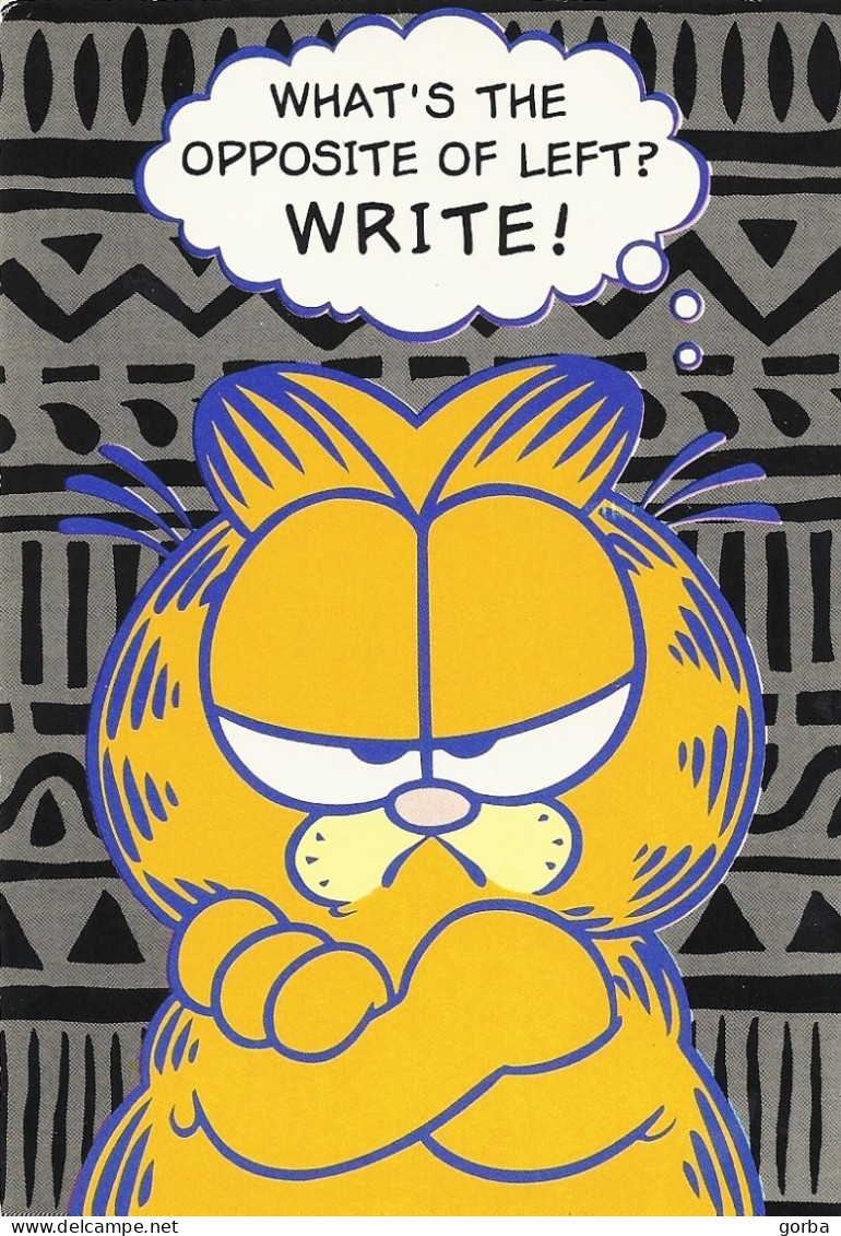 *CPM  Irlandaise - GARFIELD - Jim Davis - What's The Opposite Of Left? WRITE ! - Bandes Dessinées