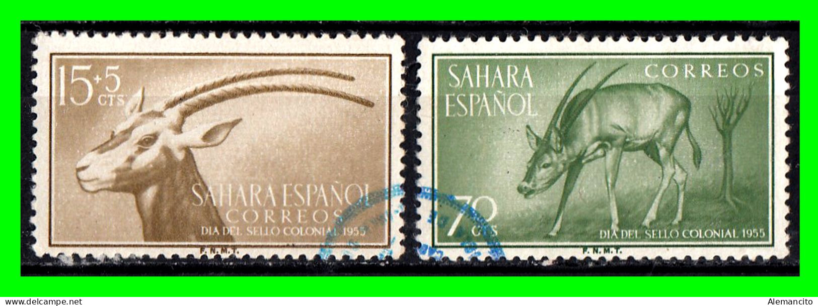 SAHARA COLONIA ESPAÑOLA ( ESPAÑA ) .-  SELLOS  AÑO 1955  .- - Spaanse Sahara