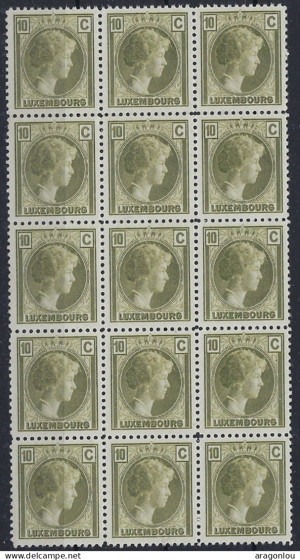 Luxembourg - Luxemburg - Timbres - 1926   Charlotte   Bloc  à 15 X 10c.   MNH** - Blocs & Feuillets