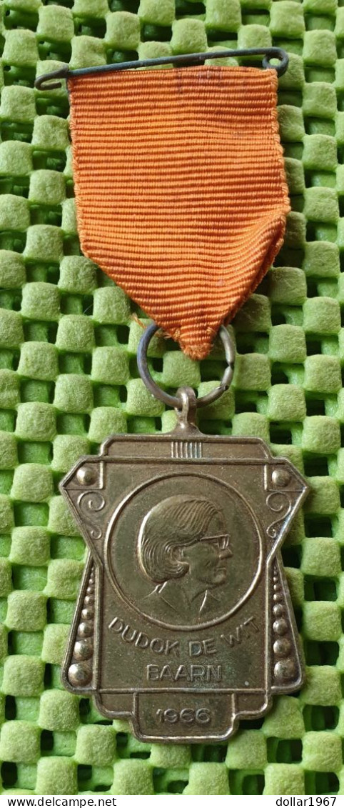 Medaile :  Dudok De Wit - Baarn - 1966  -  Original Foto  !!  Medallion  Dutch - Sonstige & Ohne Zuordnung