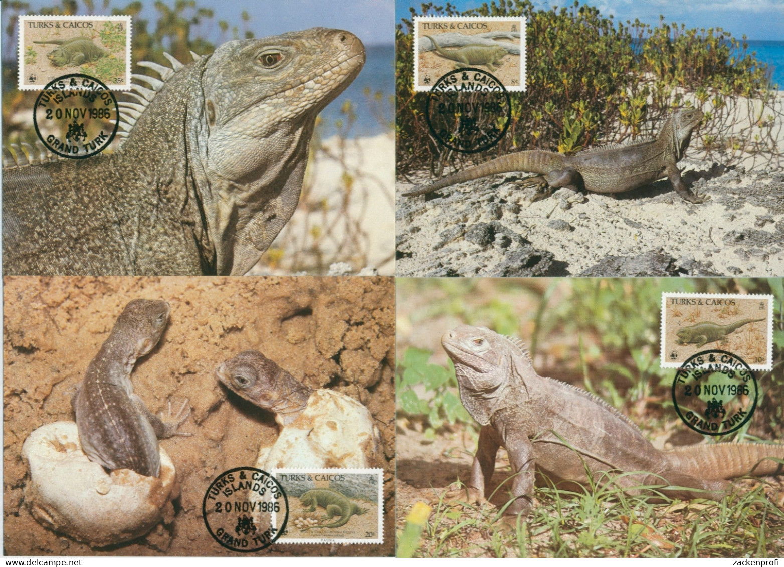 Turks- Und Caicos-Inseln 1986 WWF Reptilien 777/80 Maximumkarten (X30718) - Turks And Caicos