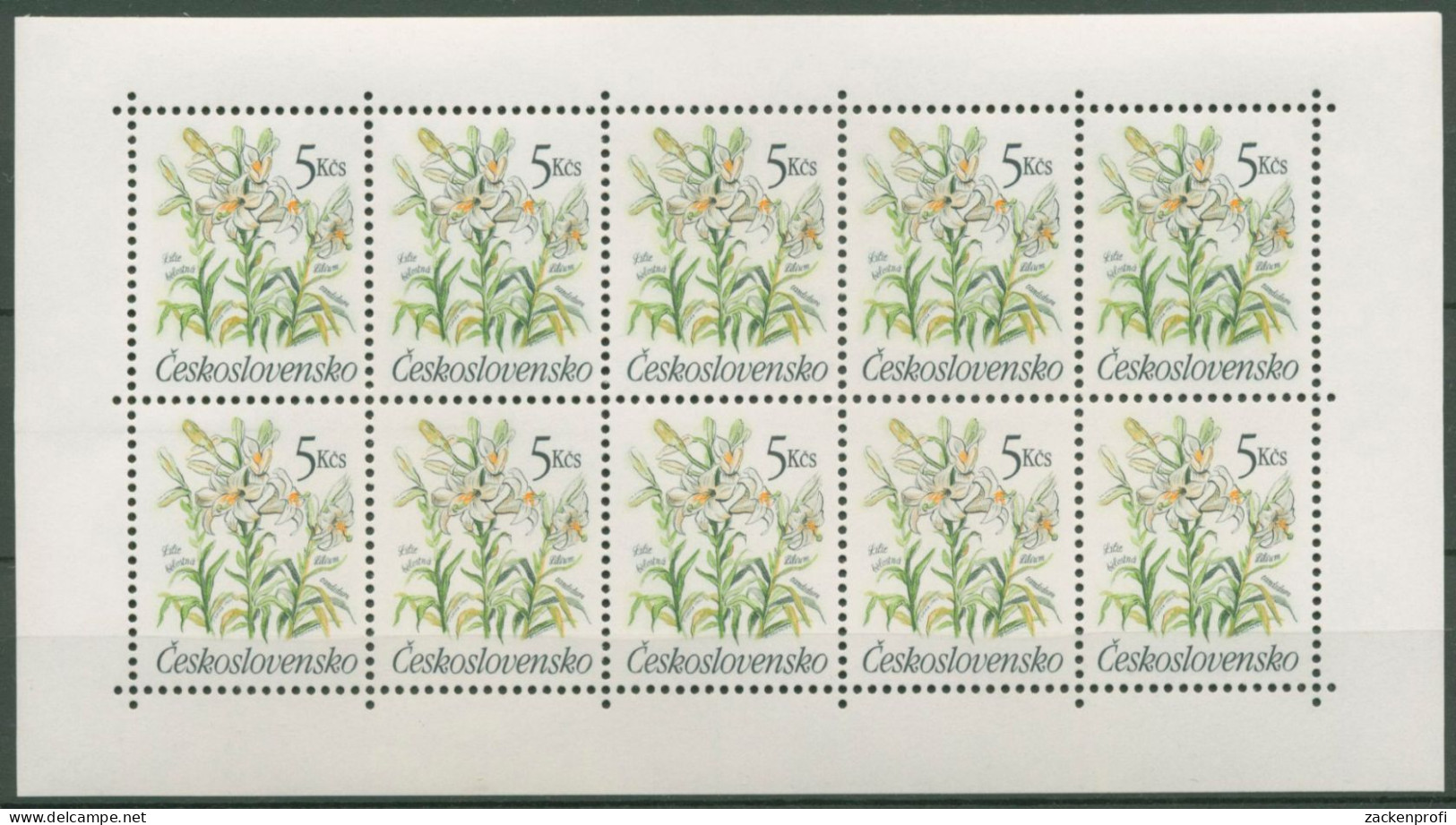 Tschechoslowakei 1990 Pflanzen Gartenblumen Lilie 3041 K Postfrisch (C62814) - Blocks & Sheetlets