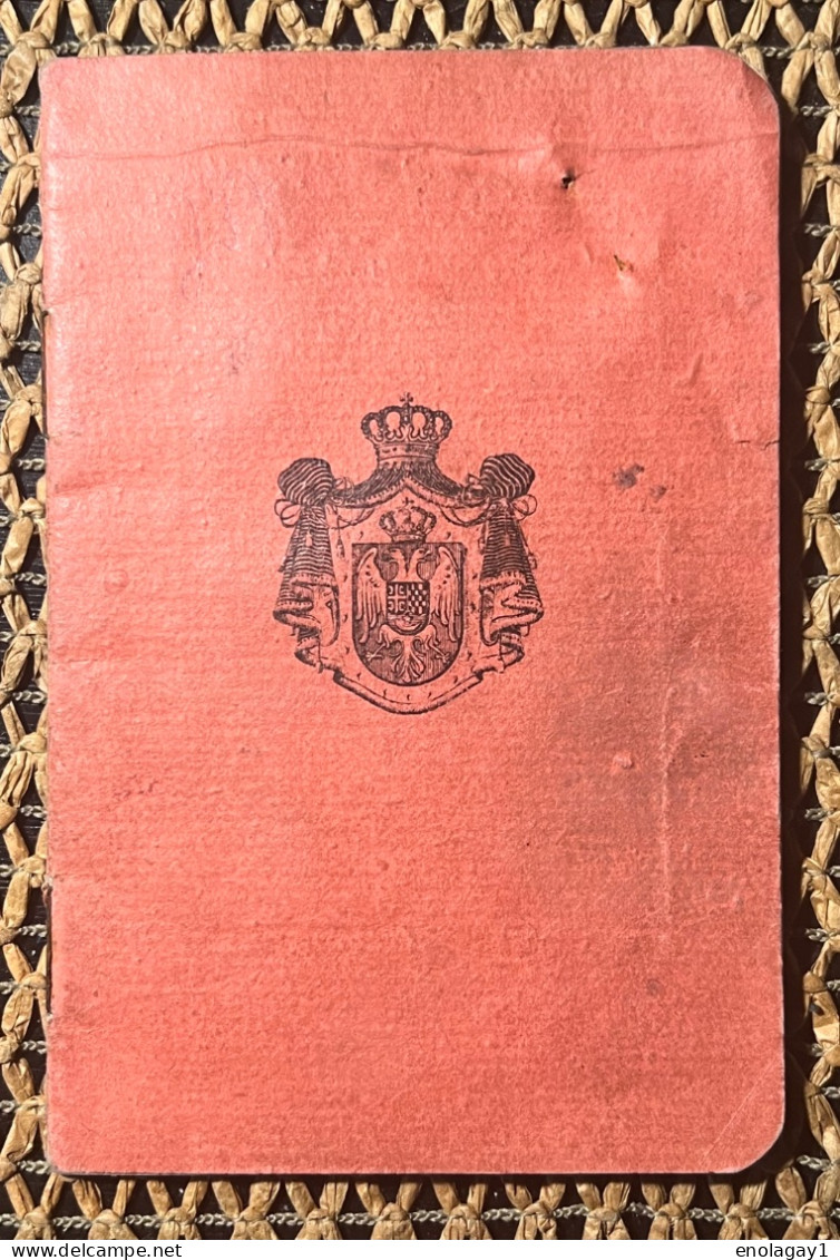 Passport Kingdom Of Yugoslavia Issued In Celje Slovenia 1924. Year Visas France, Austria, (300.) - Documenti Storici