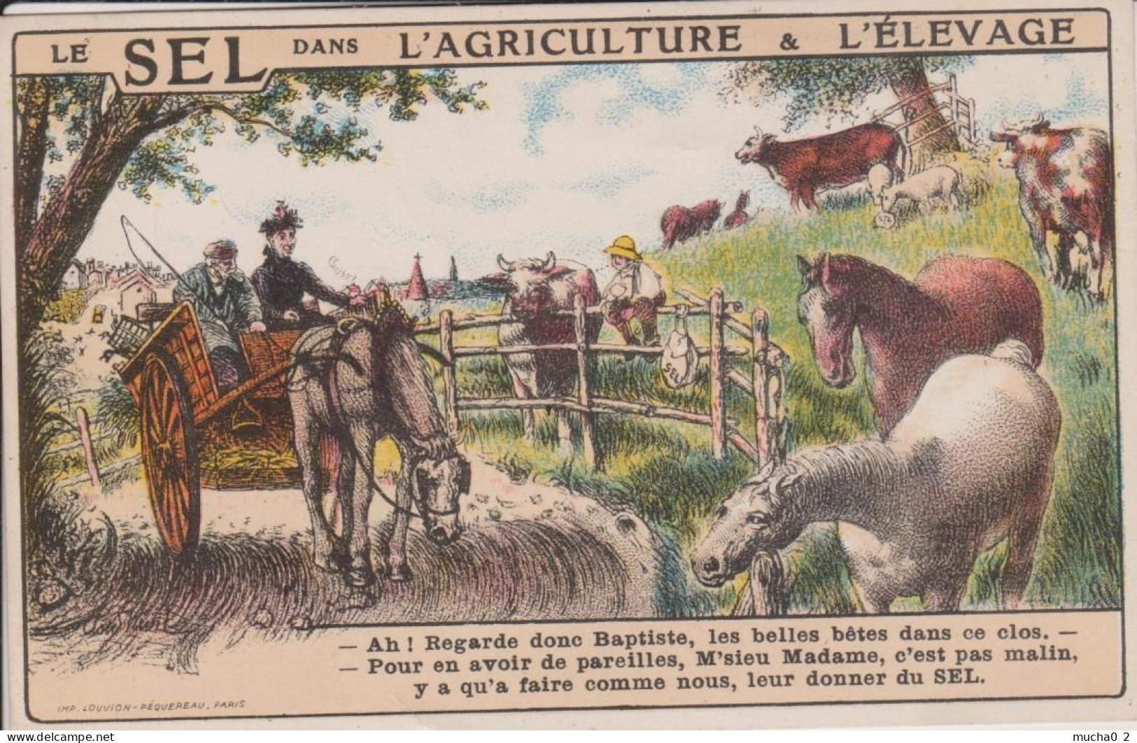 LE SEL DANS L'AGRICULTURE ET L'ELEVAGE - Elevage