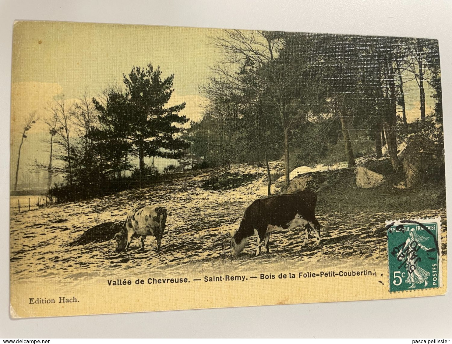 CPA - 78 - Vallée De Chevreuse - Saint Remy - Bois De La Folie Petit Coubertin - Jolie Carte Toilée Animée ( Vaches ) - St.-Rémy-lès-Chevreuse