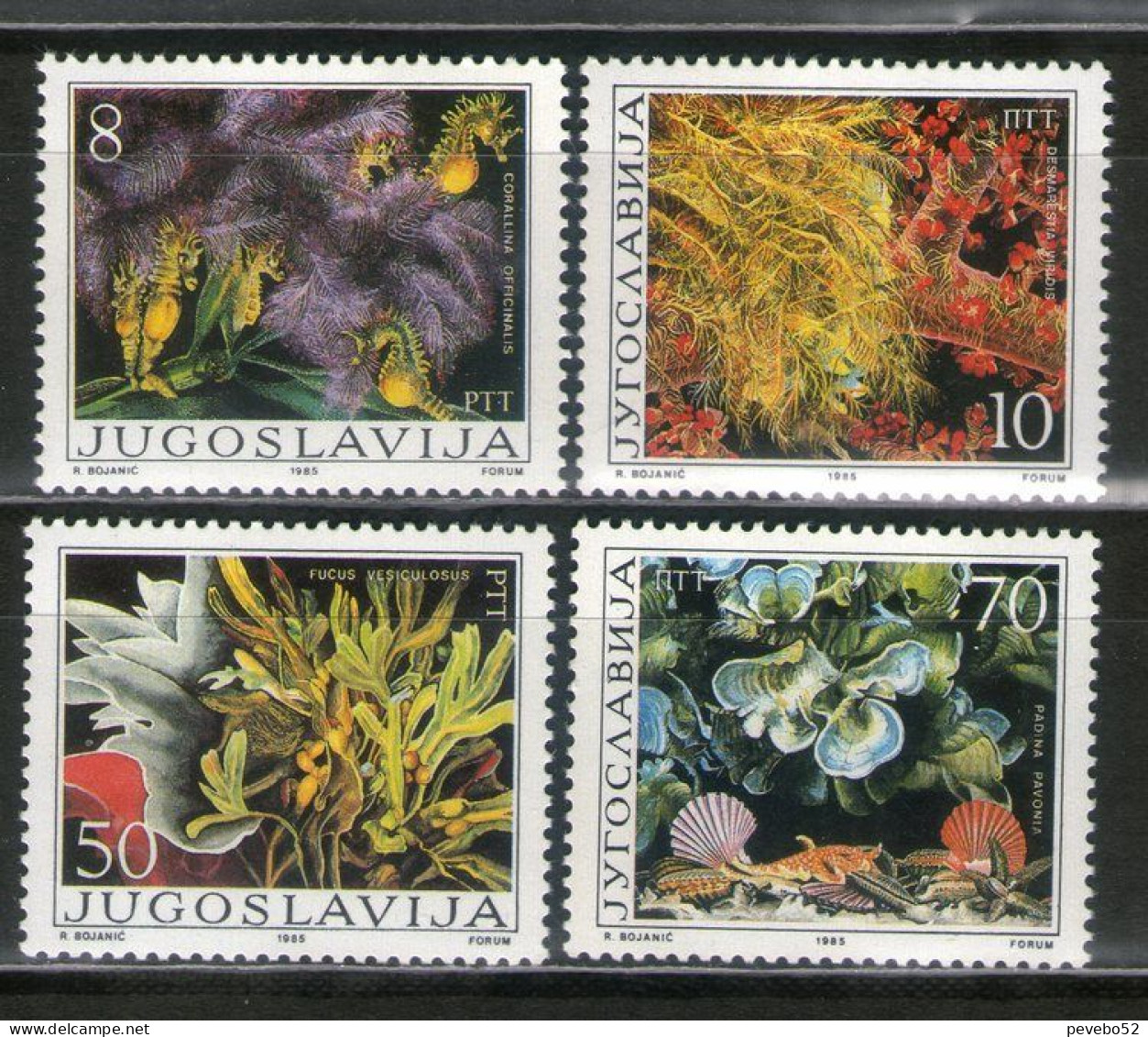 YUGOSLAVIA 1985 Flora - Seaweed & Algae MNH - Unused Stamps