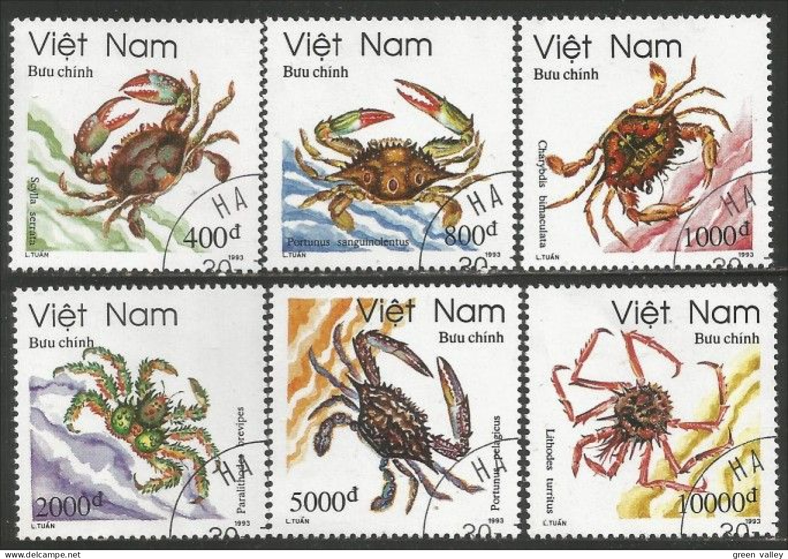 930 Vietnam Shrimps Crevettes Crabes Crabs Vie Marine Life Crustaces Crustaceans (VIE-79) - Crustáceos