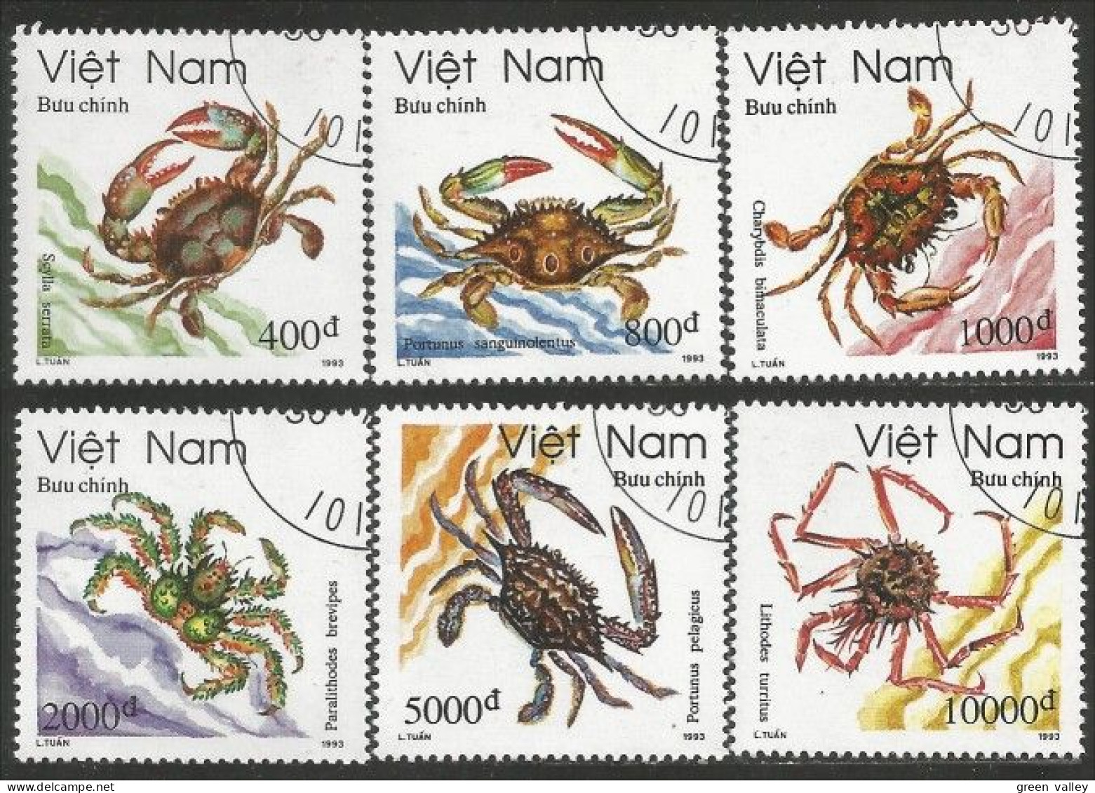 930 Vietnam Shrimps Crevettes Crabes Crabs Vie Marine Life Crustaces Crustaceans (VIE-80b) - Crustacés