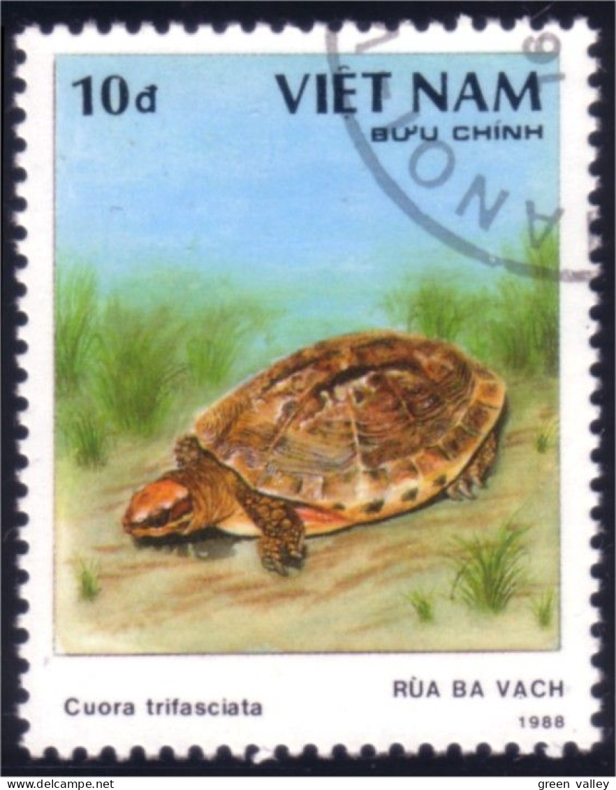 930 Vietnam Tortue Tortues Turtle Turtles Schildkrote Tortuga (VIE-28) - Schildpadden