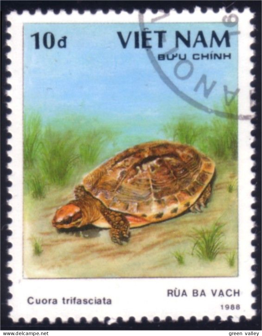 930 Vietnam Tortue Tortues Turtle Turtles Schildkrote Tortuga (VIE-28) - Tortues