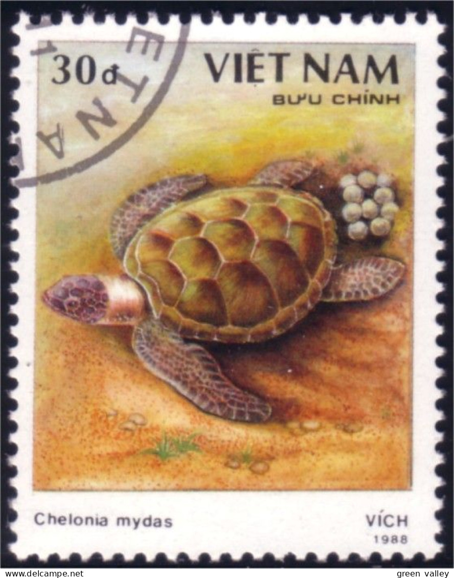 930 Vietnam Tortue Tortues Turtle Turtles Schildkrote Tortuga (VIE-30) - Schildpadden