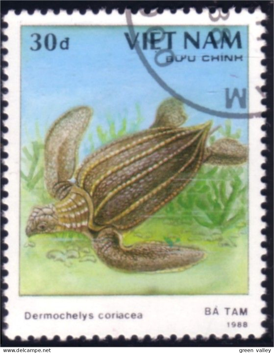 930 Vietnam Tortue Tortues Turtle Turtles Schildkrote Tortuga (VIE-25) - Tortues