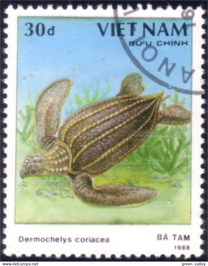 930 Vietnam Tortue Tortues Turtle Turtles Schildkrote Tortuga (VIE-24) - Turtles