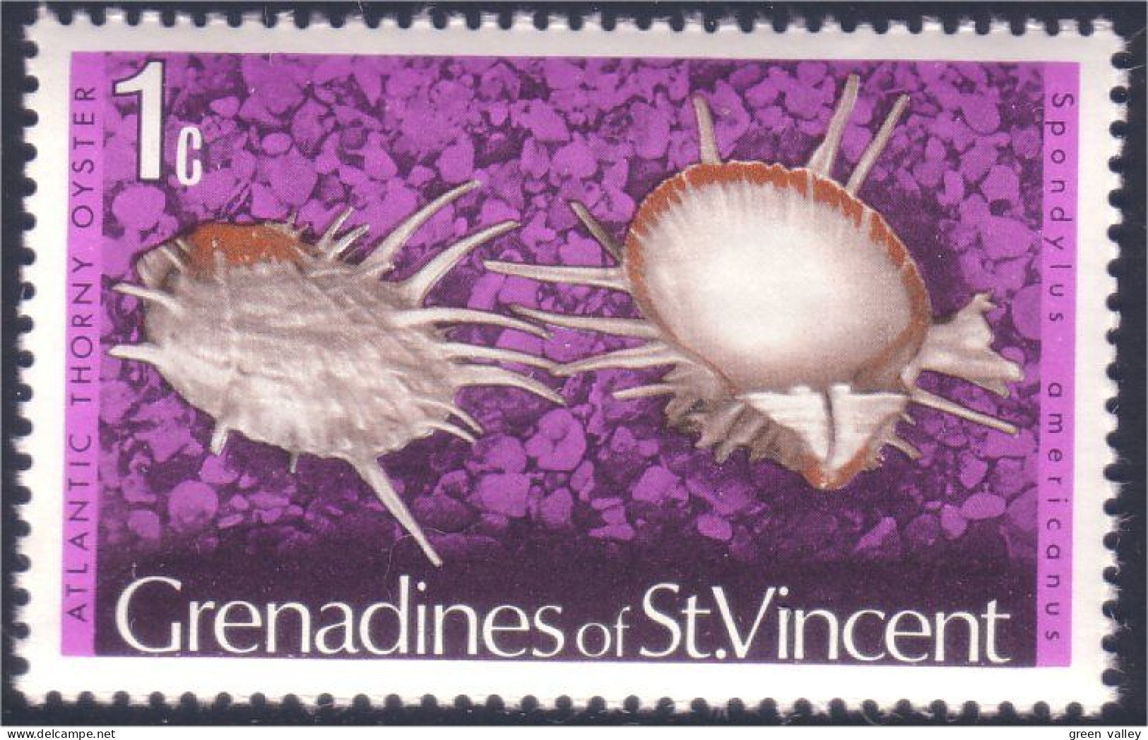 924 St Vincent Coquillages Seashells MNH ** Neuf SC (VIN-18c) - Marine Life
