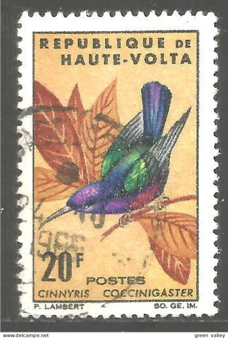 940 Haute Volta Sunbird Colibri Hummingbird (VOL-16) - Obervolta (1958-1984)