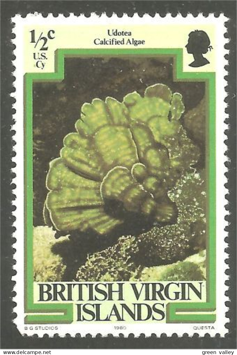 934 British Virgin Islands Algue Algae Seaweed Seetang Alga Marina MNH ** Neuf SC (VIR-48) - Marine Life