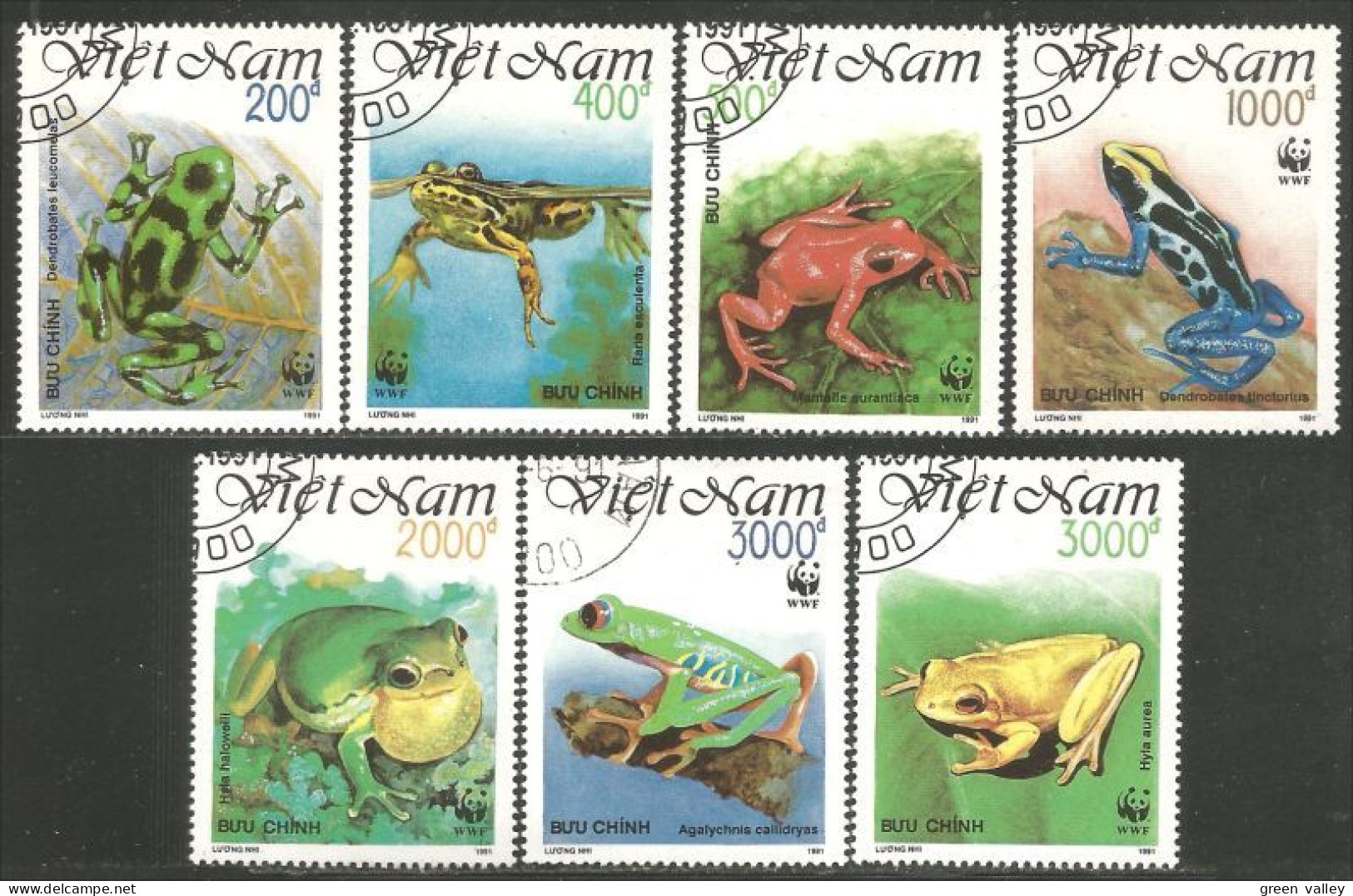 930 Vietnam Grenouille Tree Frog Rana Kikker Frosch (VIE-435d) - Kikkers