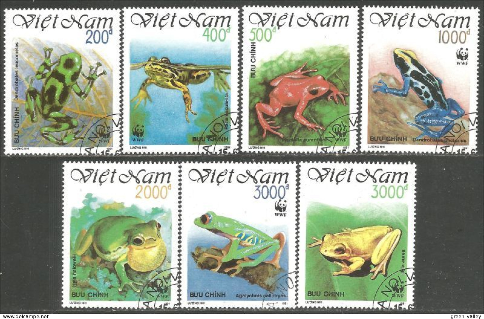 930 Vietnam Grenouille Tree Frog Rana Kikker Frosch (VIE-435c) - Ranas