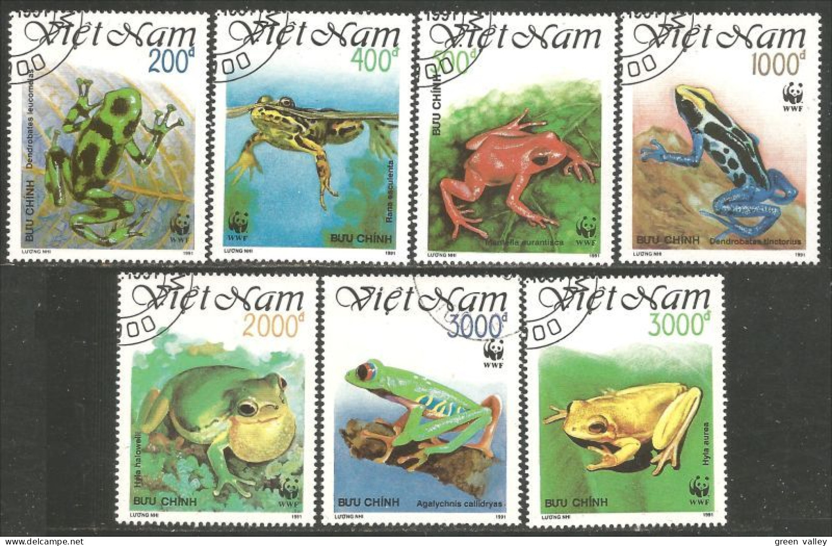 930 Vietnam Grenouille Tree Frog Rana Kikker Frosch (VIE-435e) - Rane