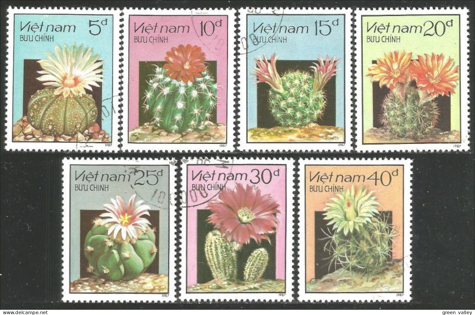 930 Vietnam Fleurs Flowers Blumen Cactus Cactii (VIE-431b) - Sukkulenten