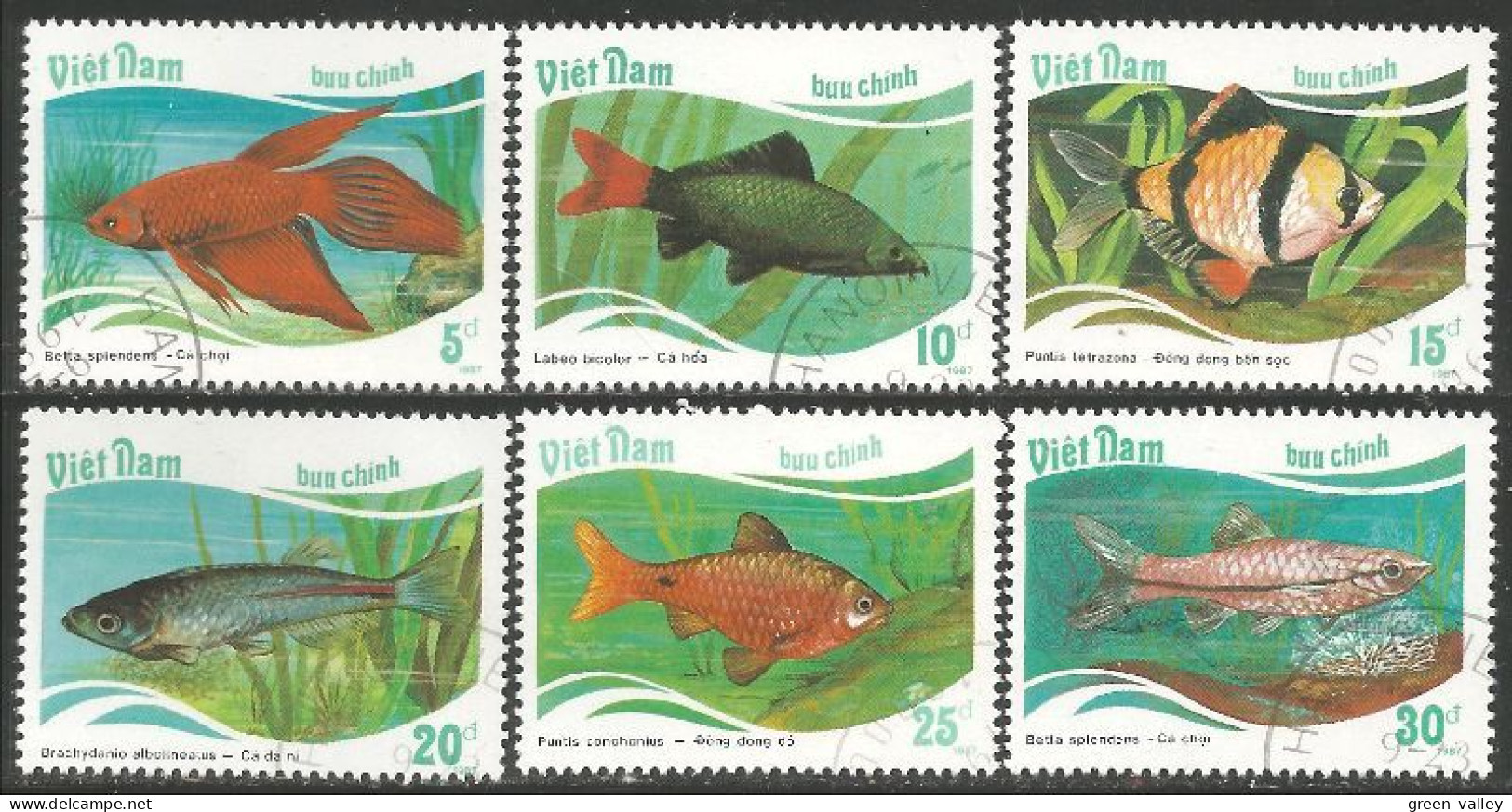 930 Vietnam Poissons Tropicaux Tropical Fish Fische (VIE-369) - Vietnam